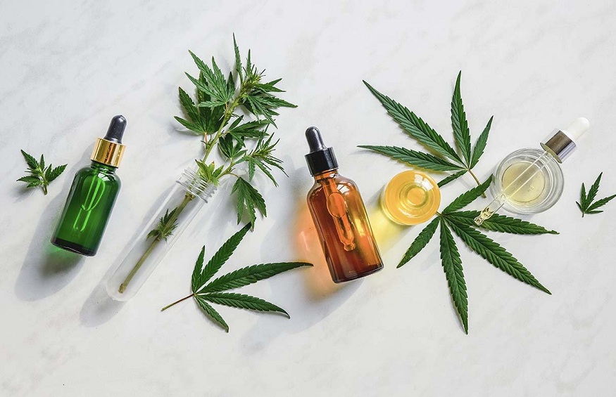 All That You Must Know About CBD Oil