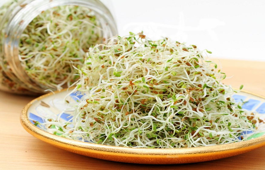 health benefits and risks of Sprouts