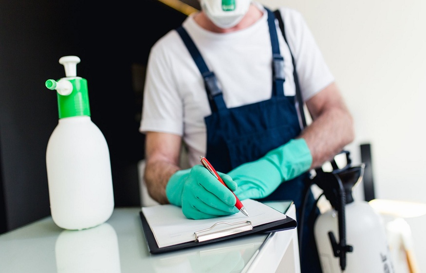 Pros of hiring a pest control expert